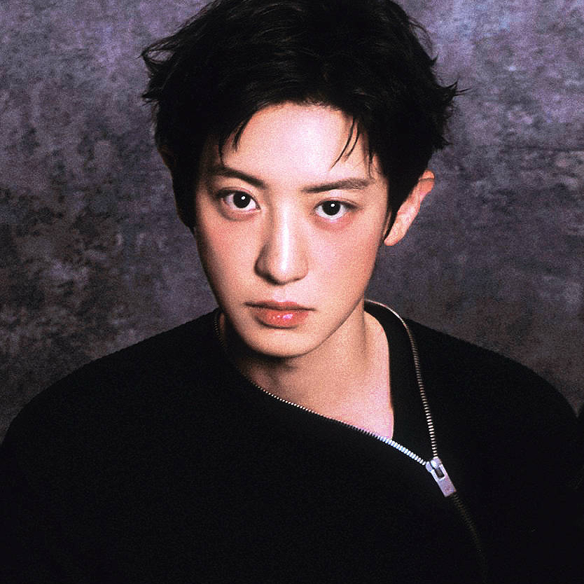 EXO 팬이 찍은 순간