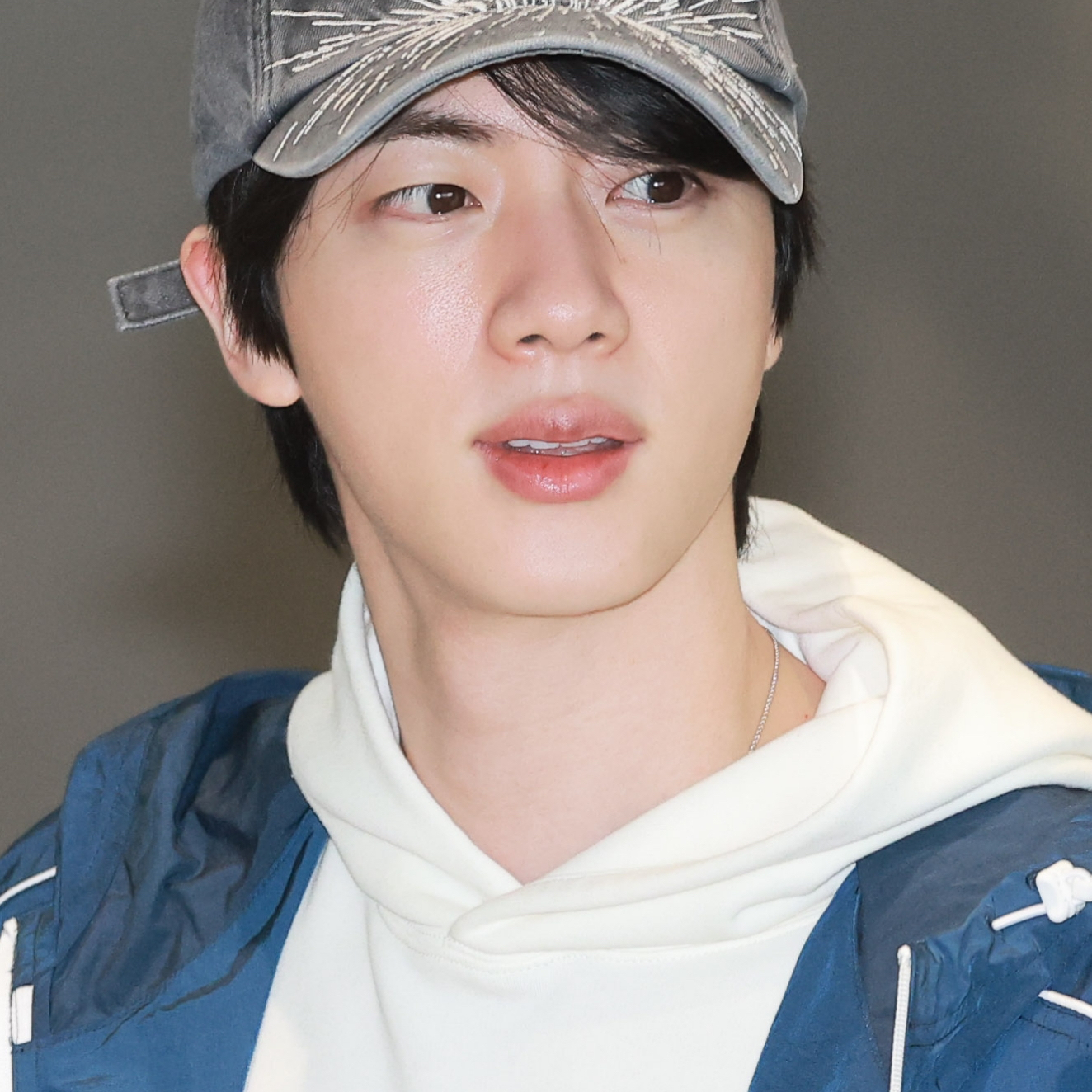 진 (방탄소년단) 팬이 찍은 순간