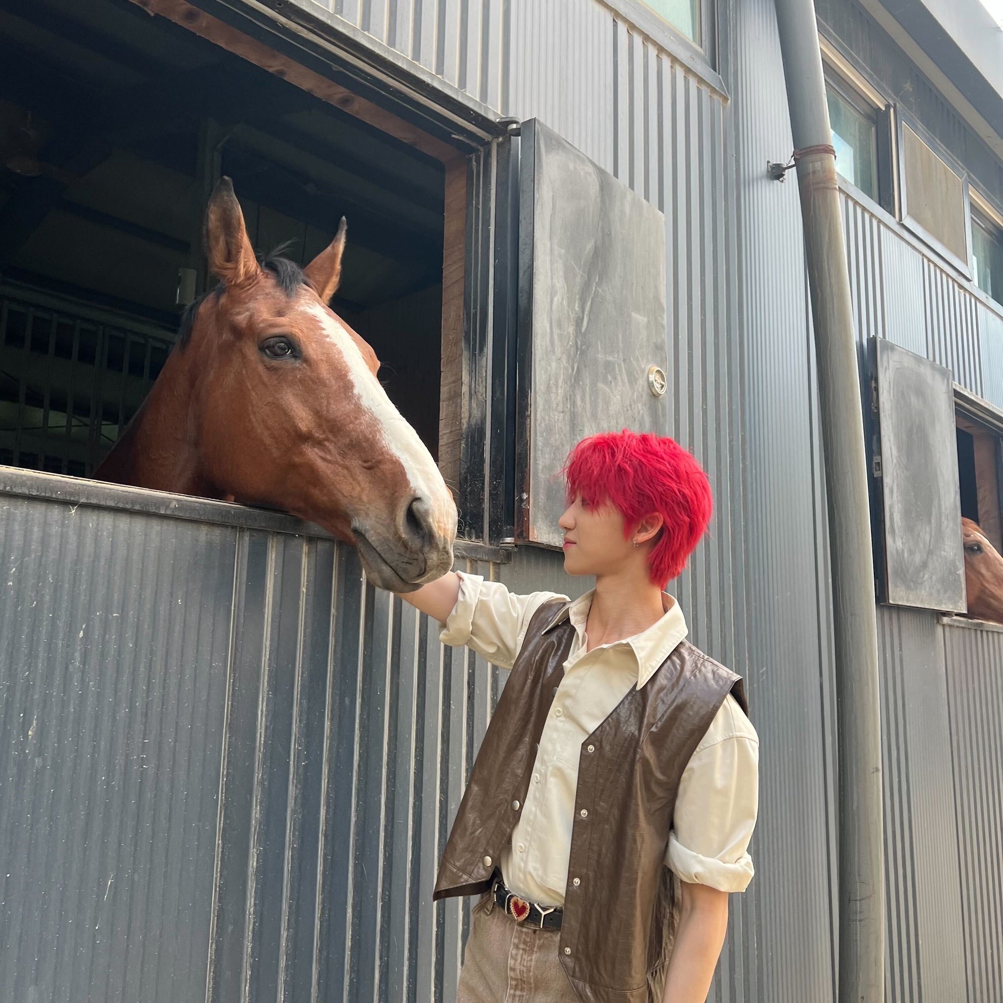 세븐틴 최근 활동샷