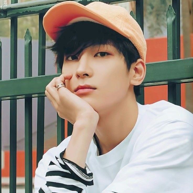 원우 (세븐틴)의 최신 사진