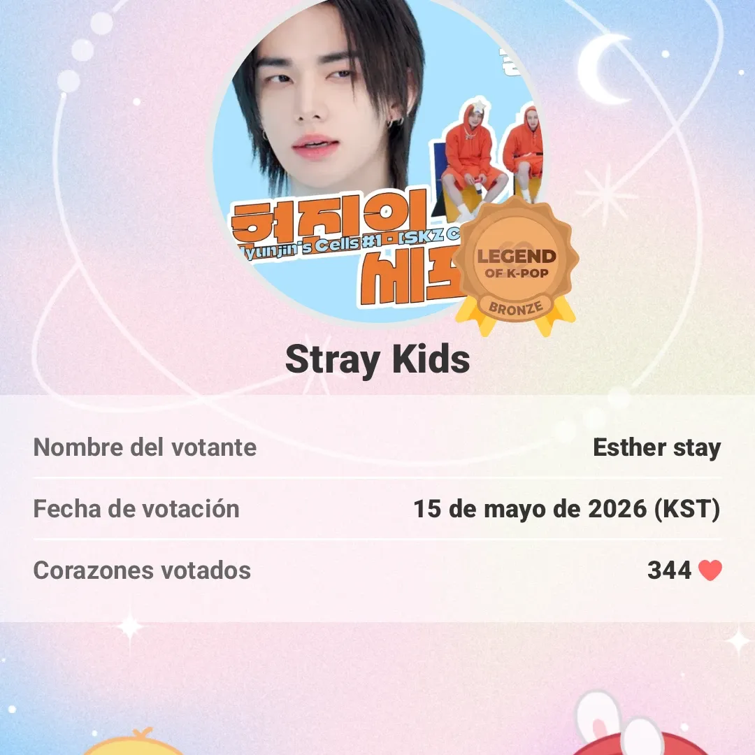 Stray Kids 팬이 찍은 순간