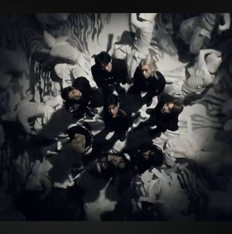 Recent activity shot of Stray Kids