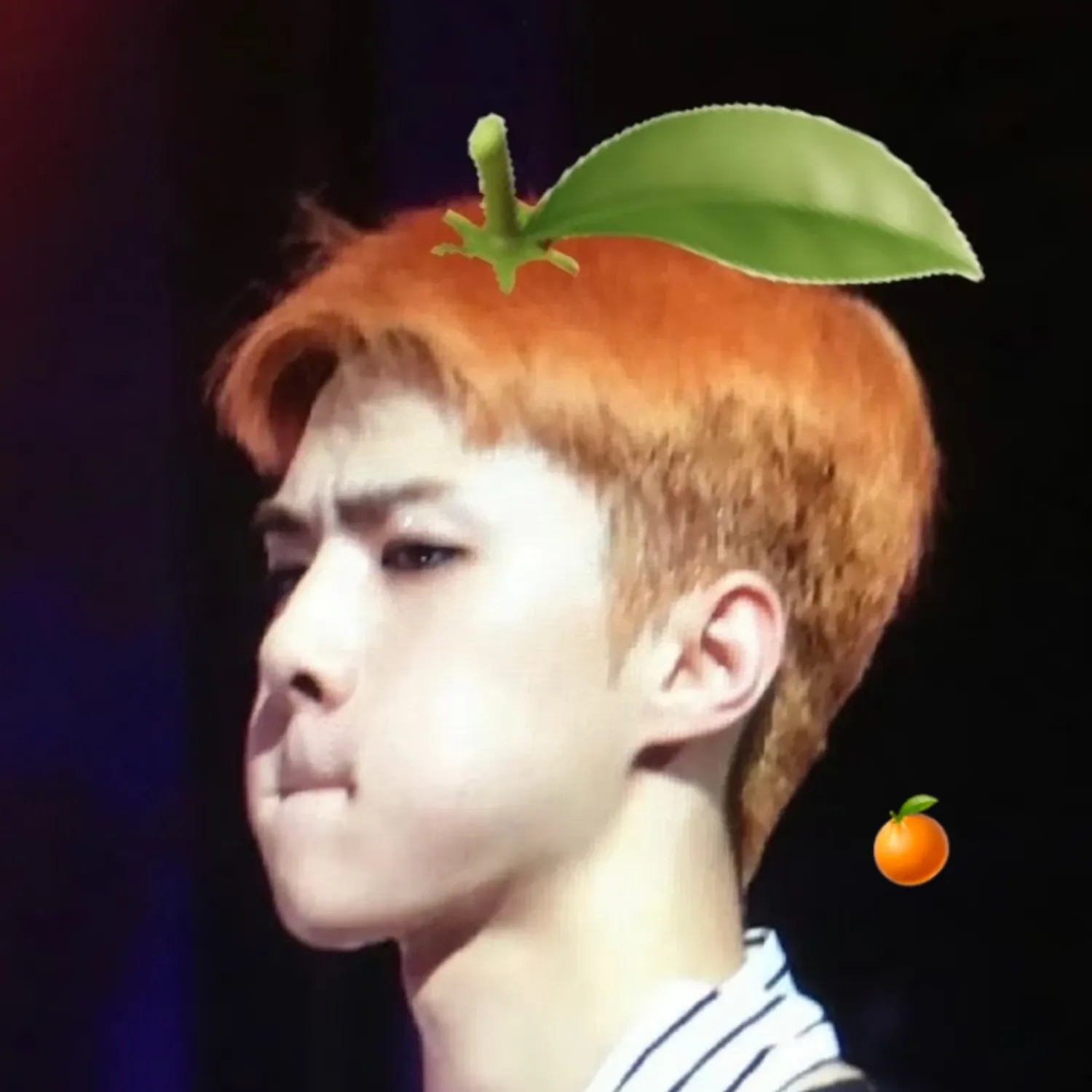 世勳 (EXO)的最新活動照片