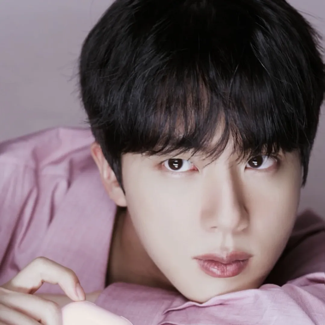 A moment captured by Jin (BTS)'s fan
