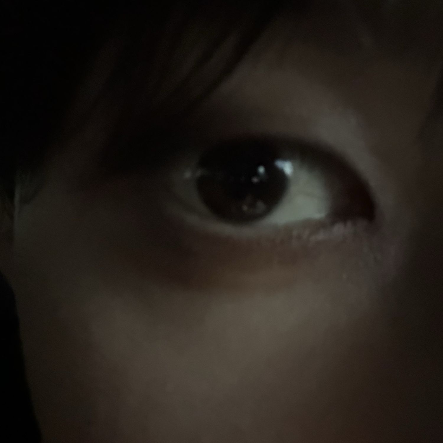 A moment captured by Bang Chan (Stray Kids)'s fan