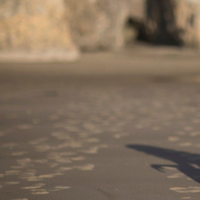 华莎 (MAMAMOO)的最新活动照片