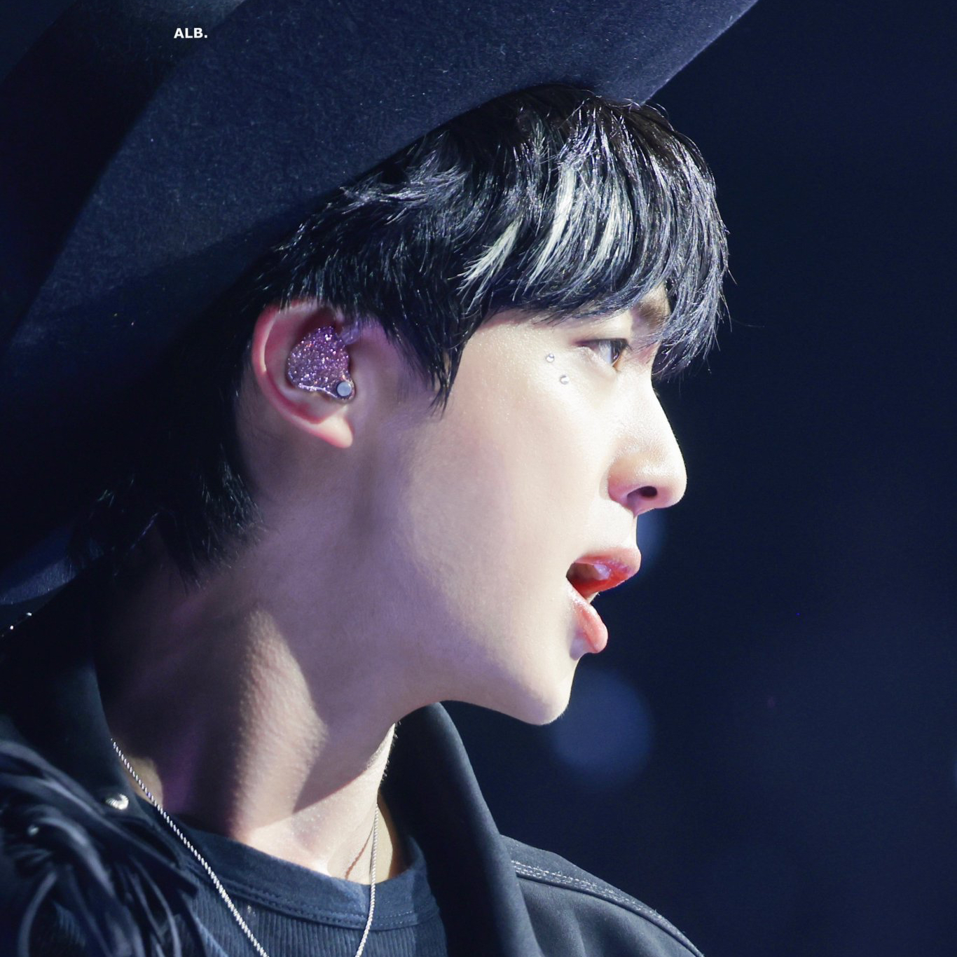 Momen yang diabadikan oleh penggemar Jin (BTS)