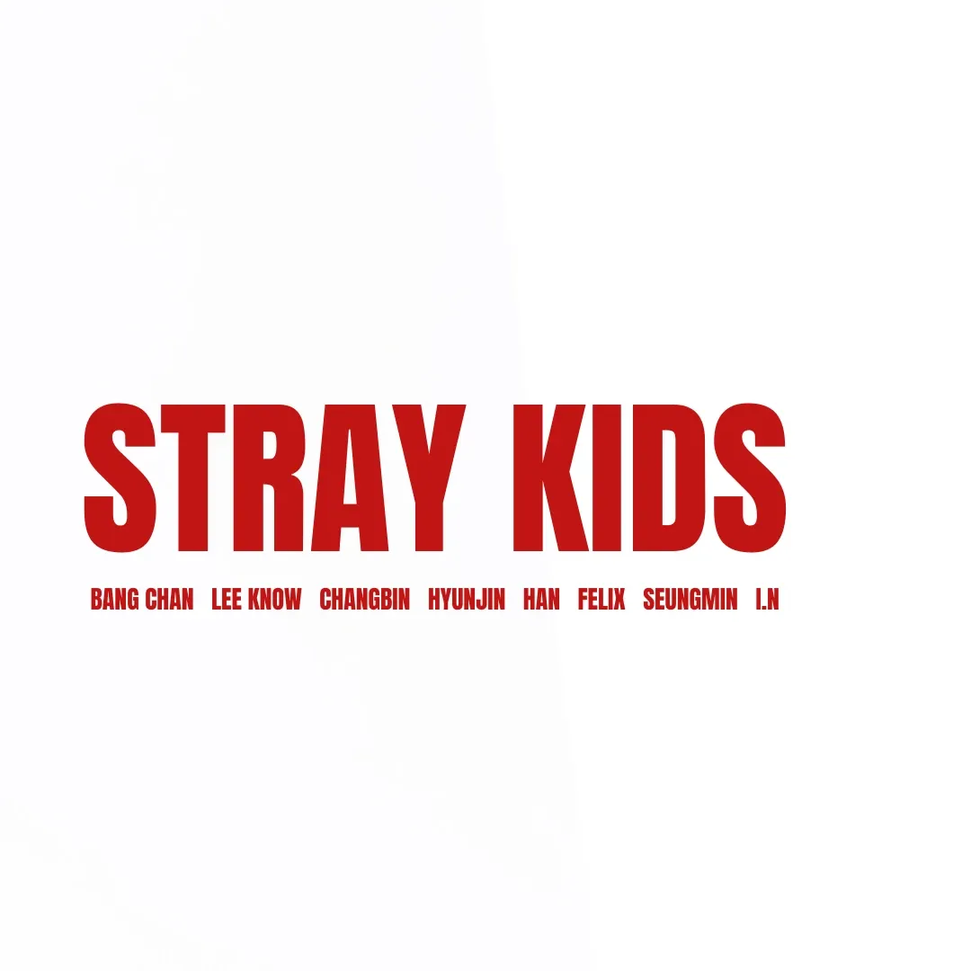 Stray Kids 팬이 찍은 순간