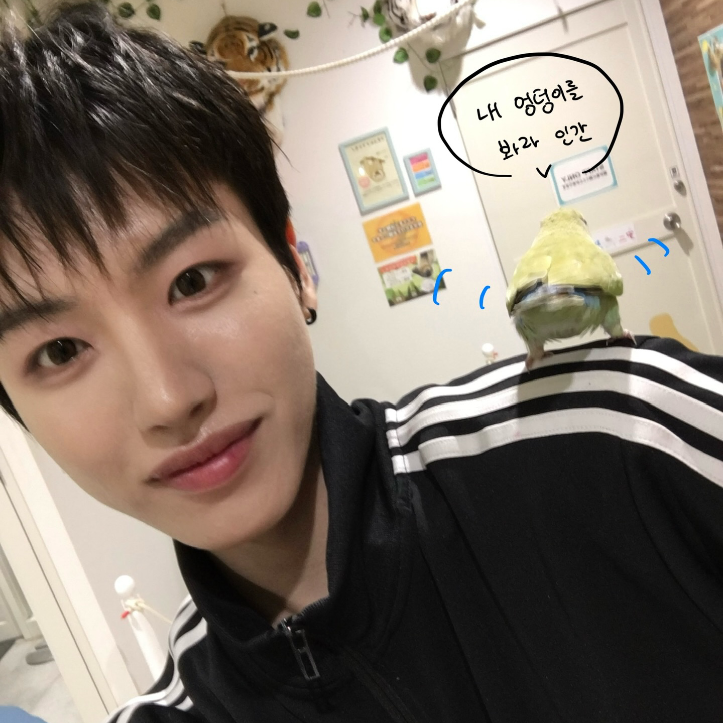 희원 (n.SSign)의 최신 사진