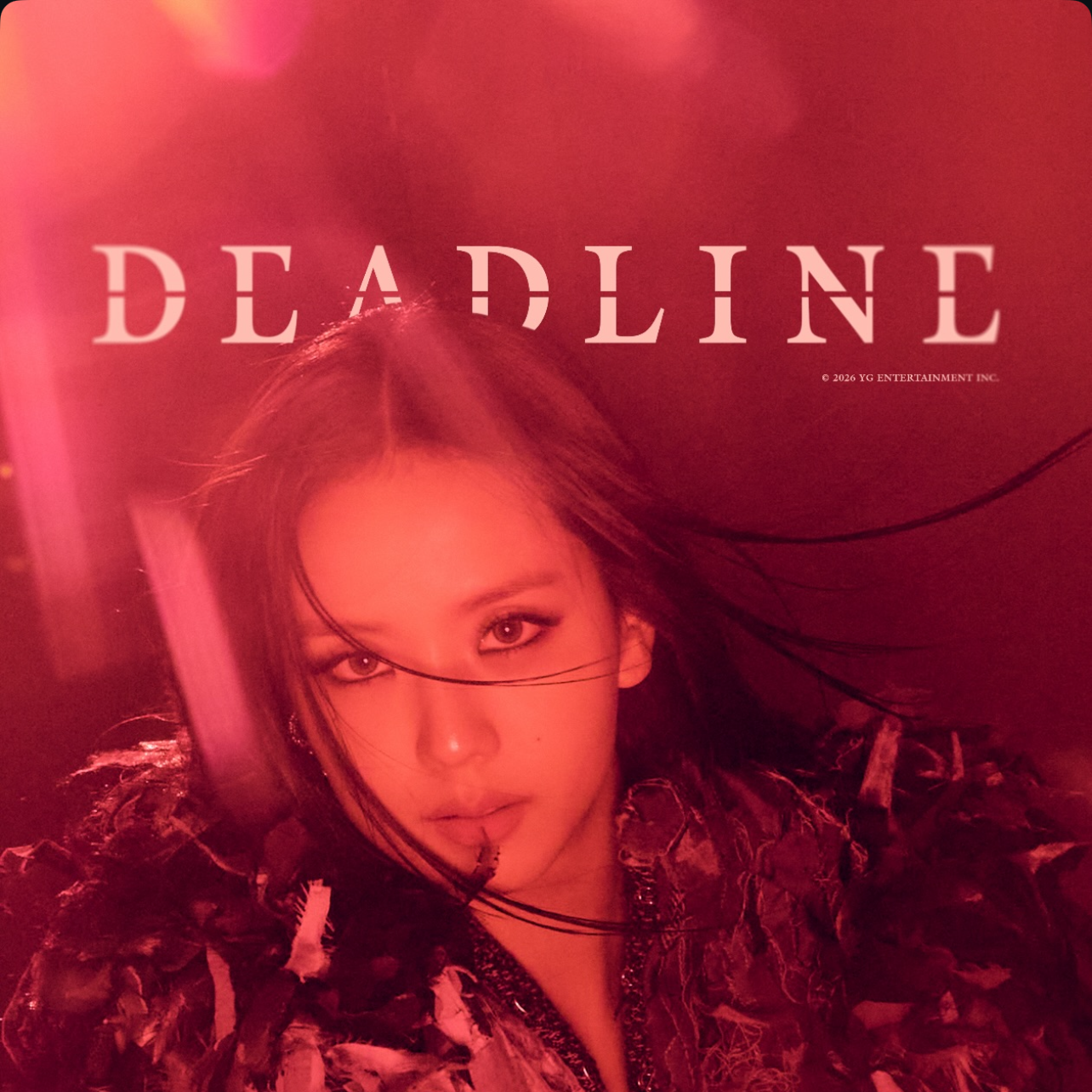 BLACKPINK 최근 활동샷