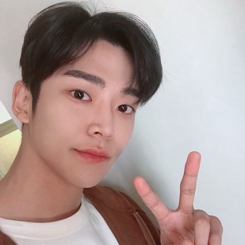 로운 최근 활동샷
