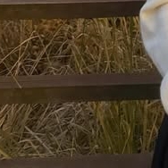 Behind-the-scenes cut of Kim Garam