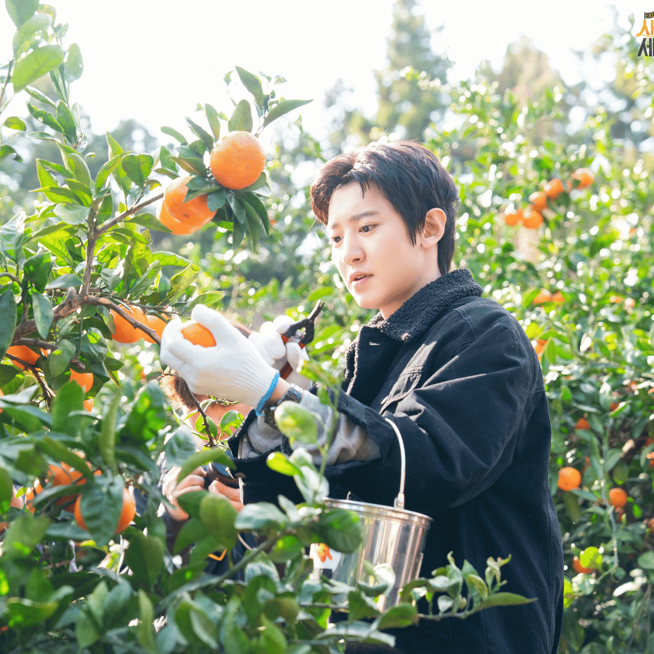 찬열 (EXO)의 최신 사진