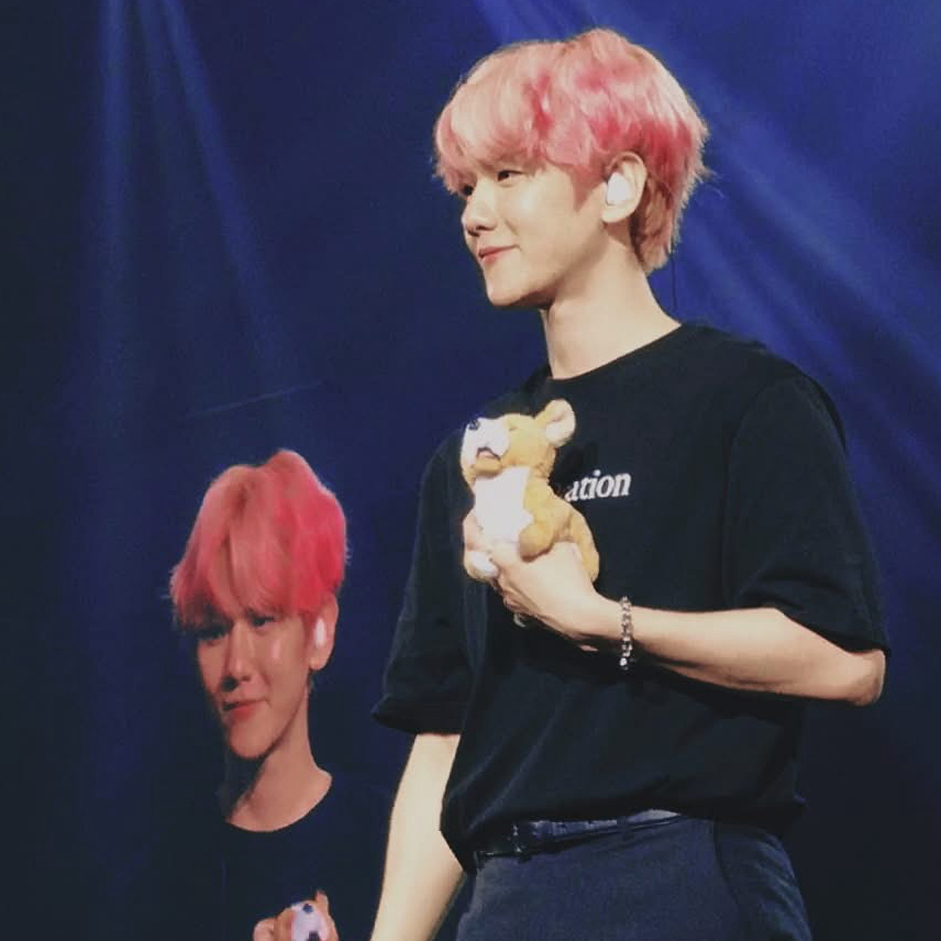 伯賢 (EXO)的幕後花絮