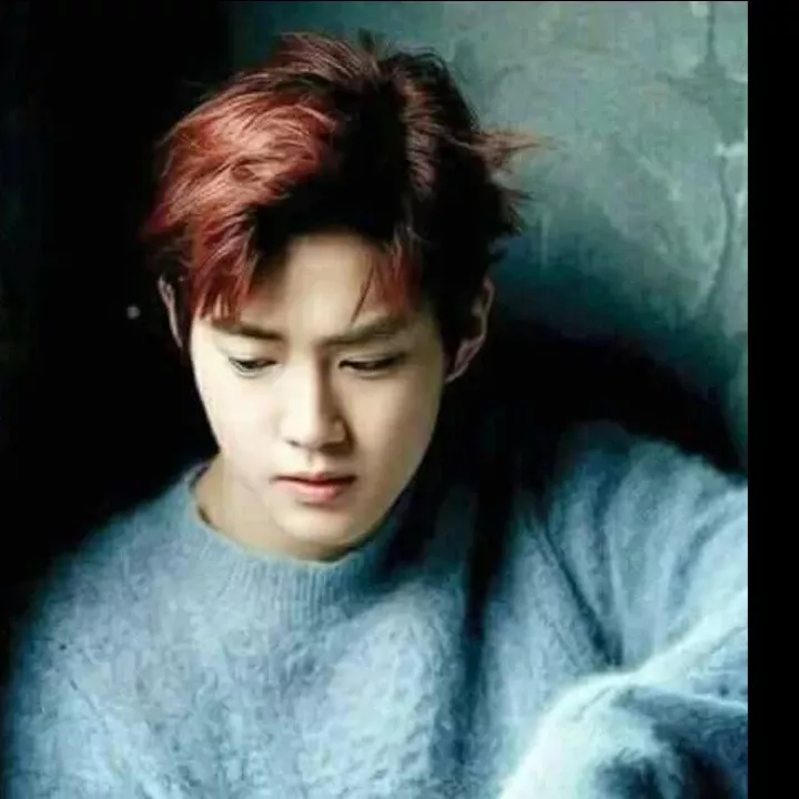 EXO 팬이 찍은 순간