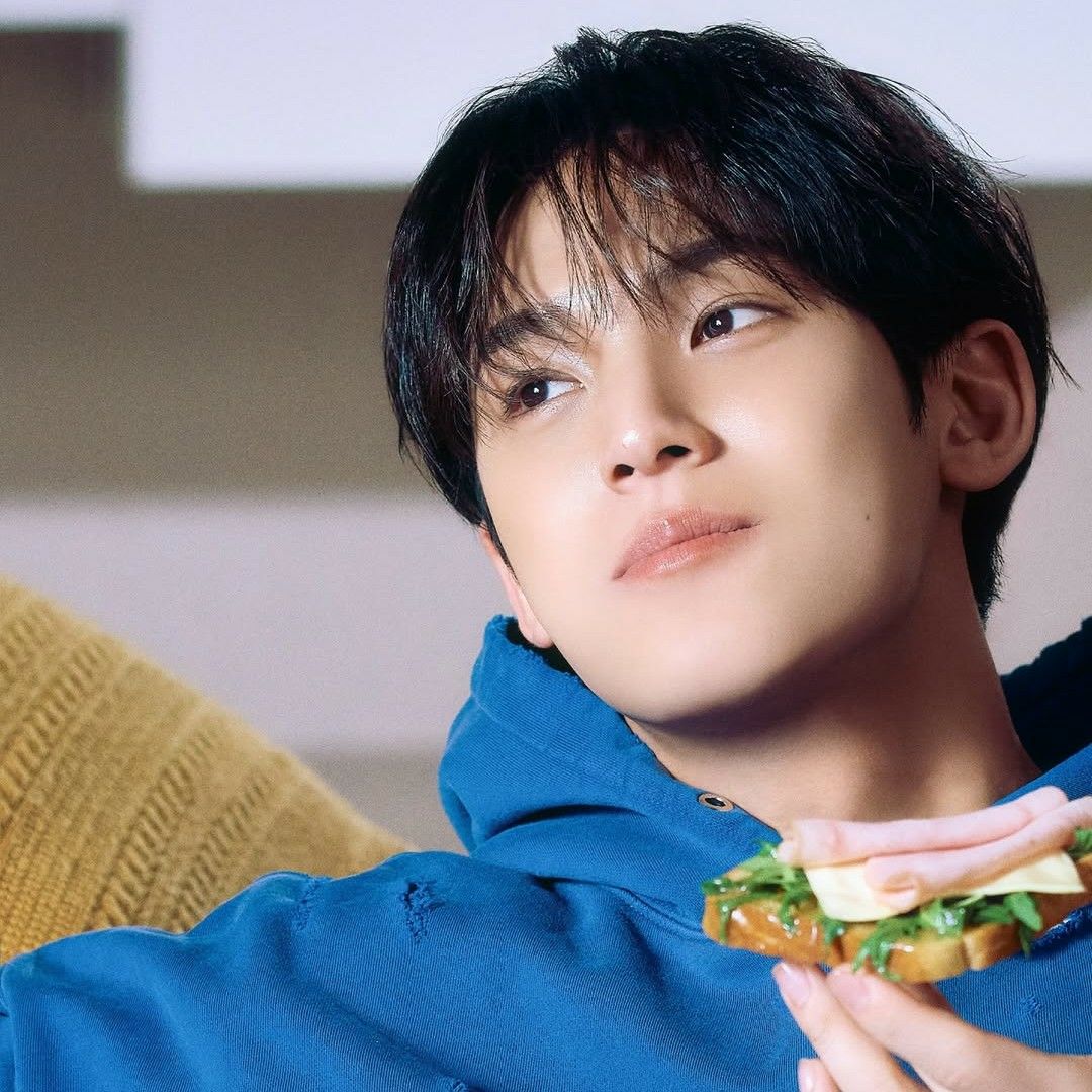 Recent activity shot of Mingyu (SEVENTEEN)