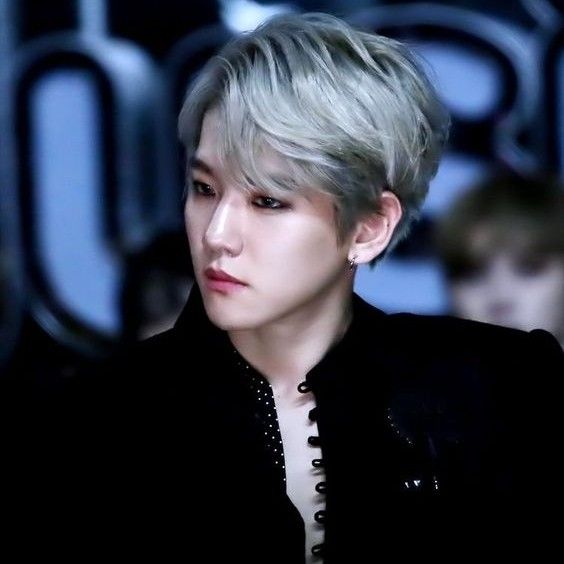 伯賢 (EXO)粉絲拍下的瞬間