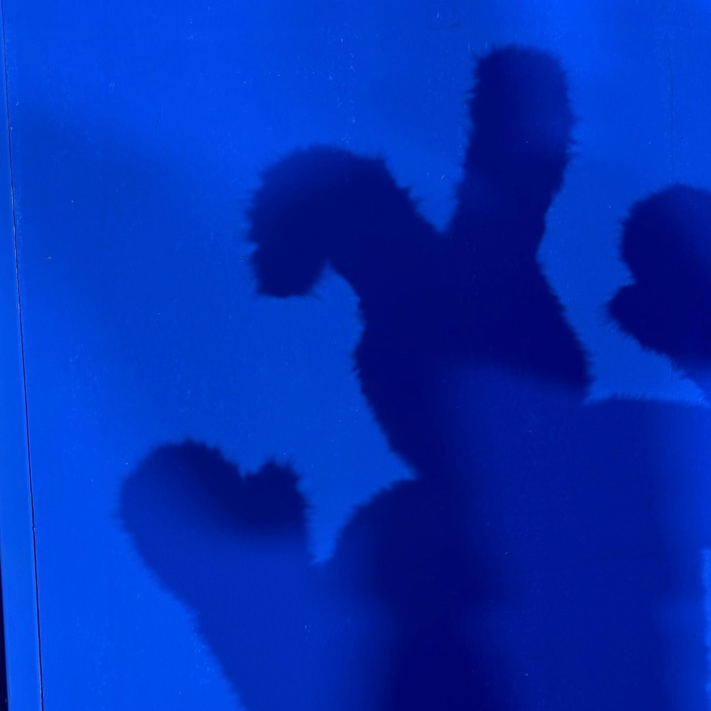 모모 (TWICE) 최근 활동샷