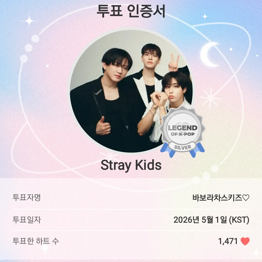 Stray Kids 팬이 찍은 순간