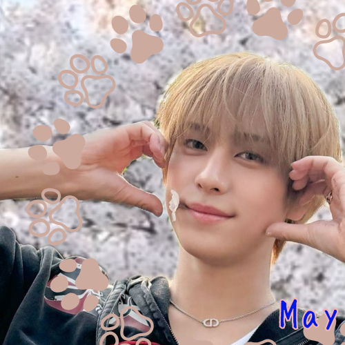 最愛ドルコミュニティの爆発的人気投稿