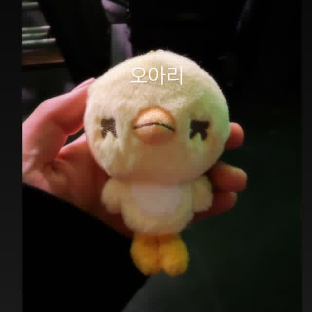 世勋 (EXO)的幕后花絮