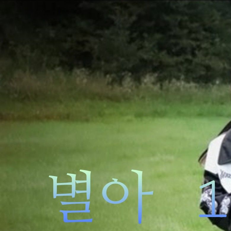 A moment captured by Solar (MAMAMOO)'s fan