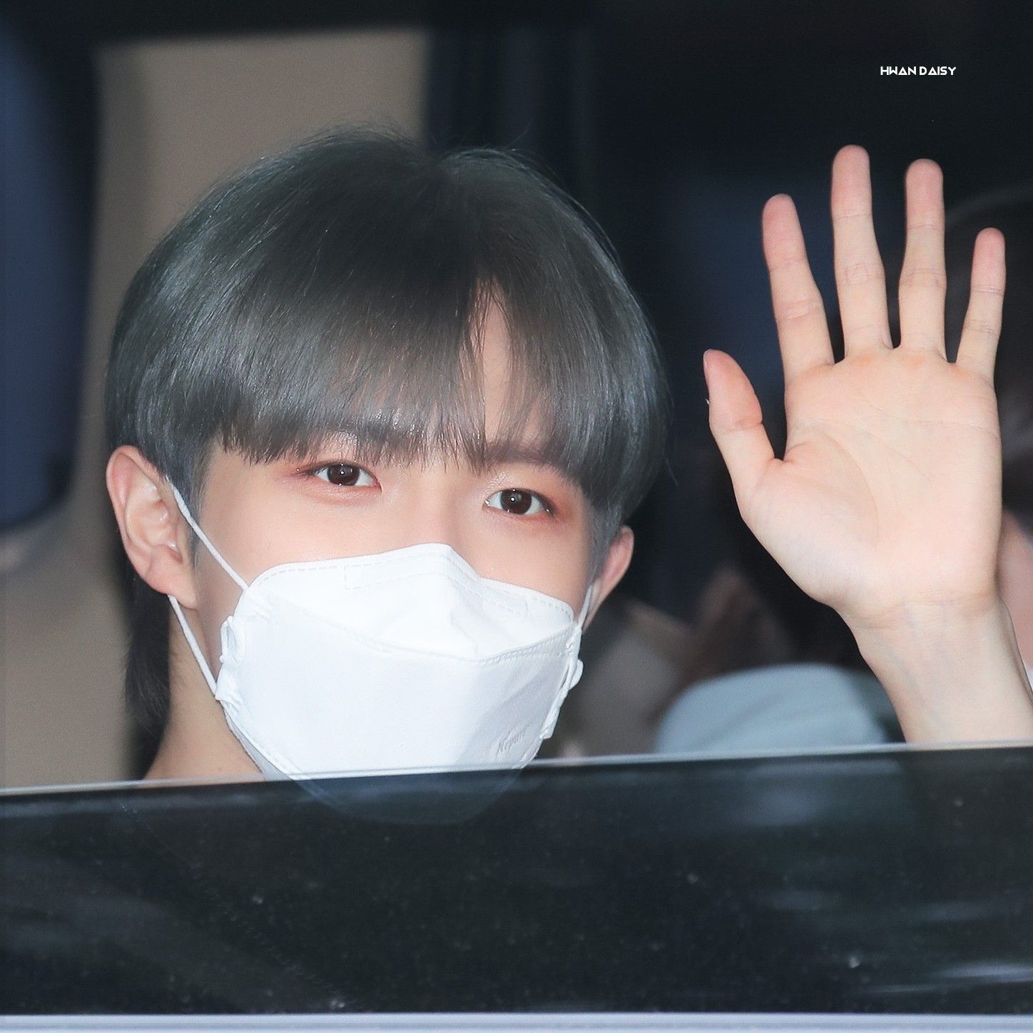 金在奐的最新照片