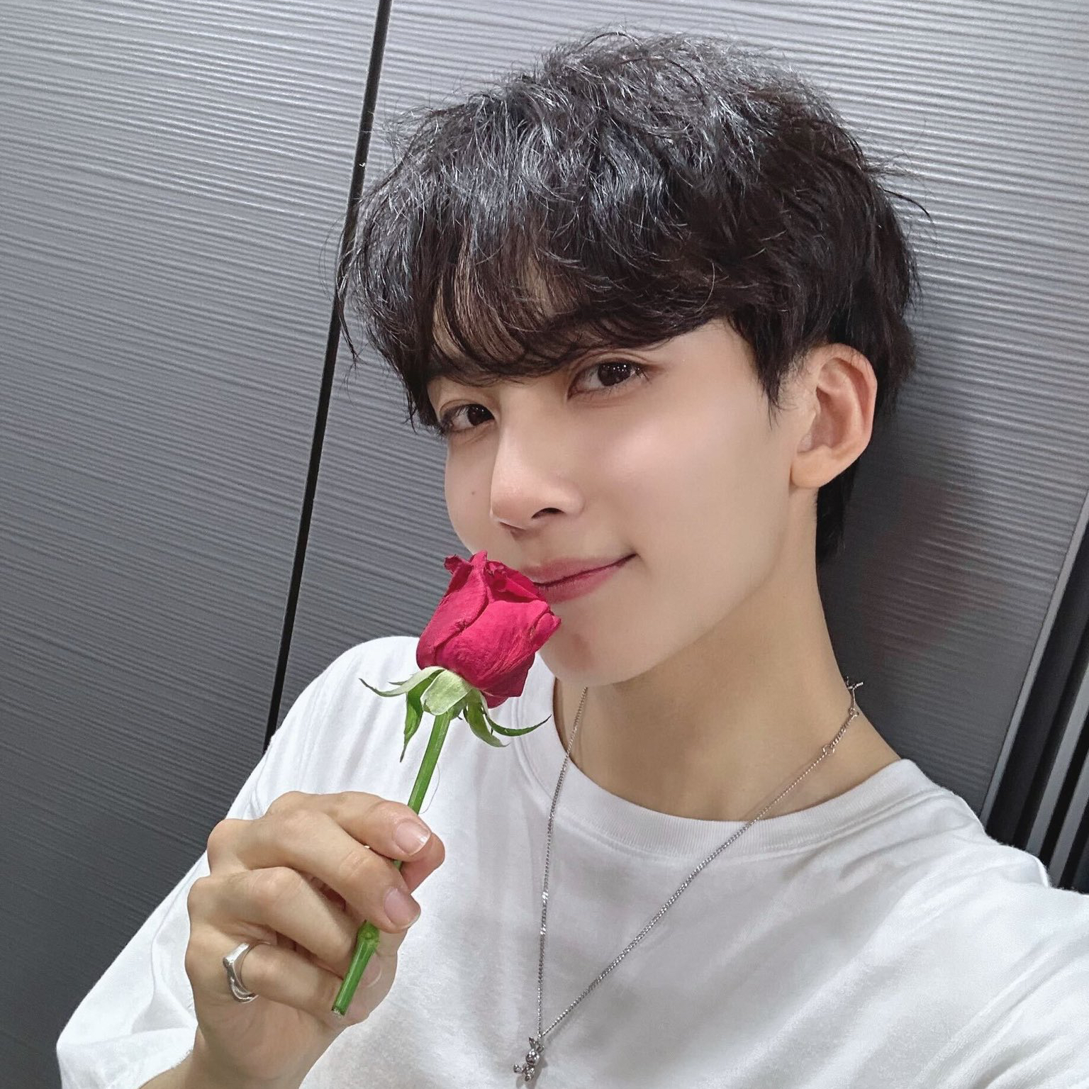 세븐틴의 비하인드 컷