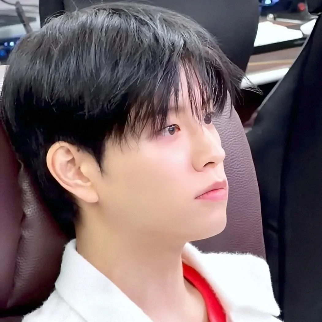 Momen yang diabadikan oleh penggemar Seungmin (Stray Kids)