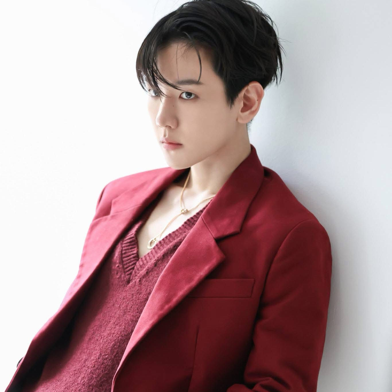 伯賢 (EXO)粉絲拍下的瞬間