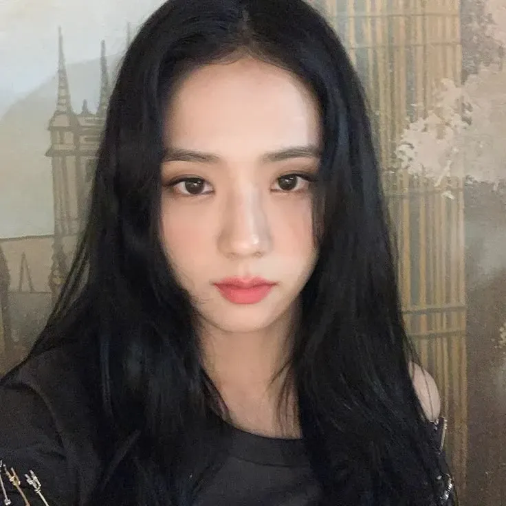 A moment captured by Jisoo (BLACKPINK)'s fan