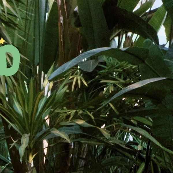 A moment captured by Seoho (ONEUS)'s fan