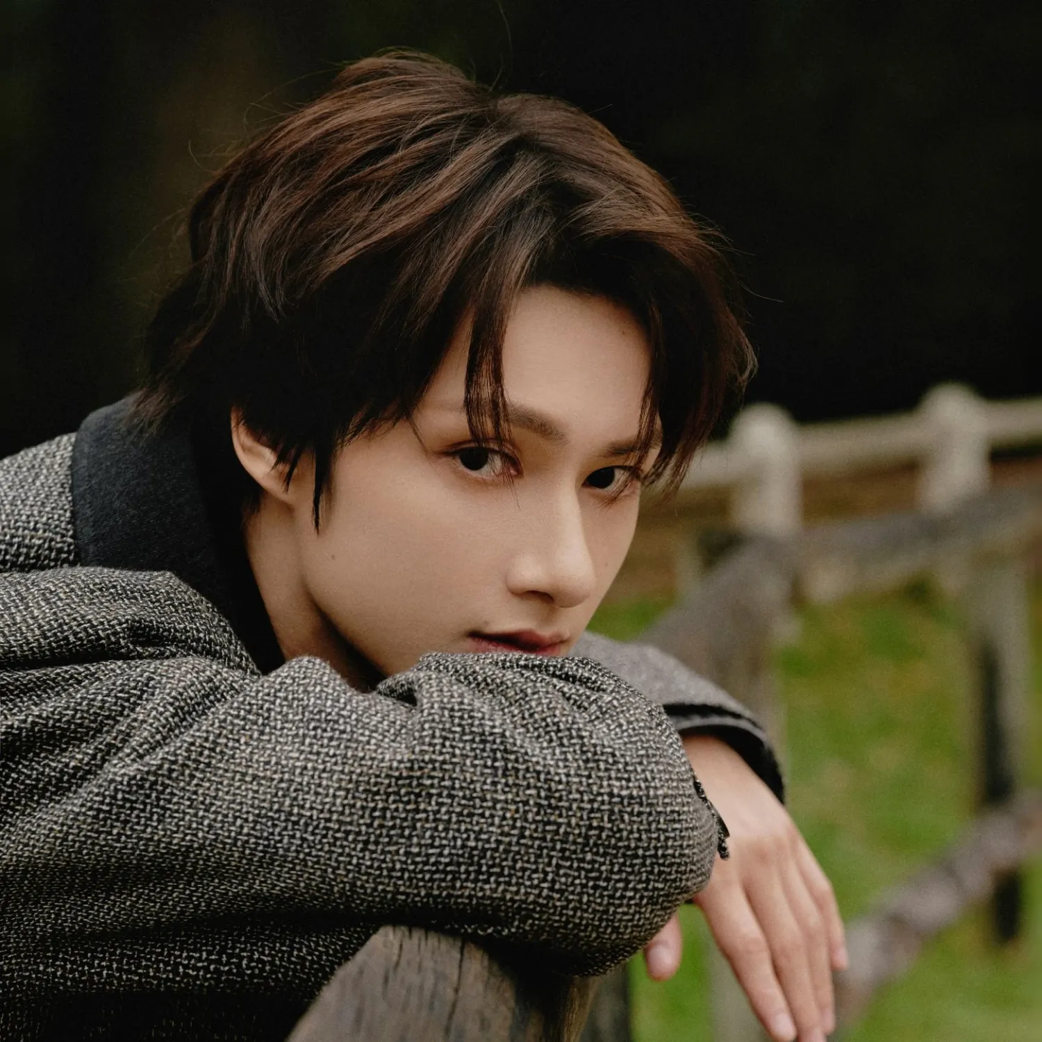 Recent activity shot of SEVENTEEN