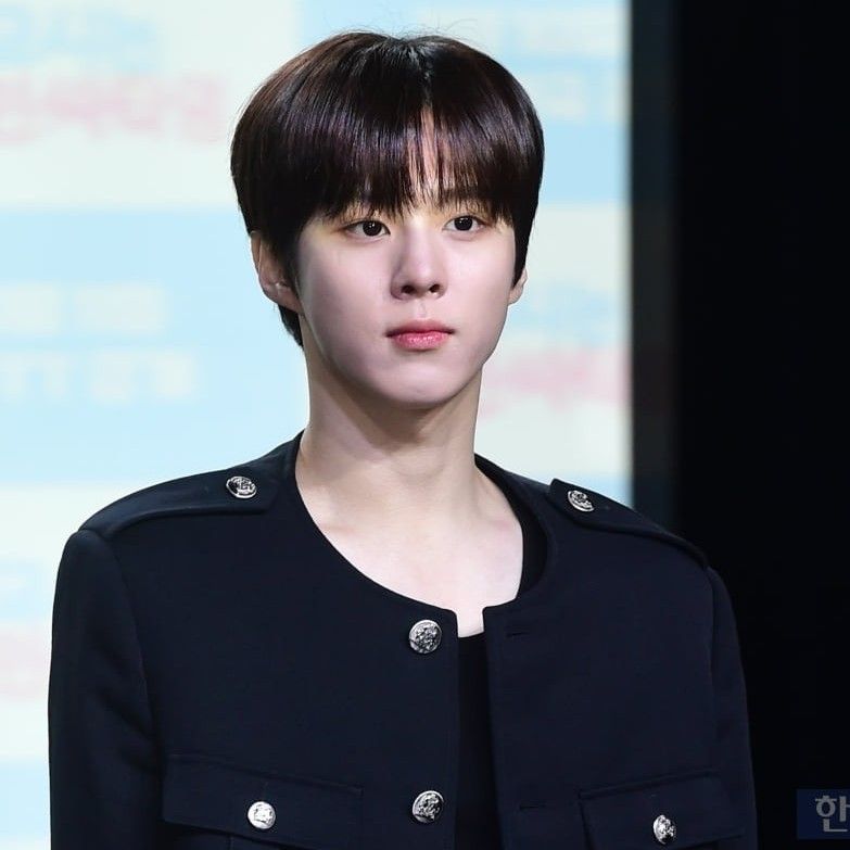 김우석의 최신 사진