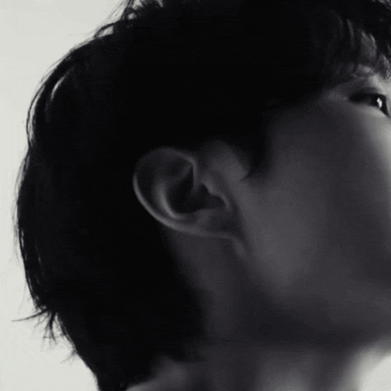 community_articles_contents