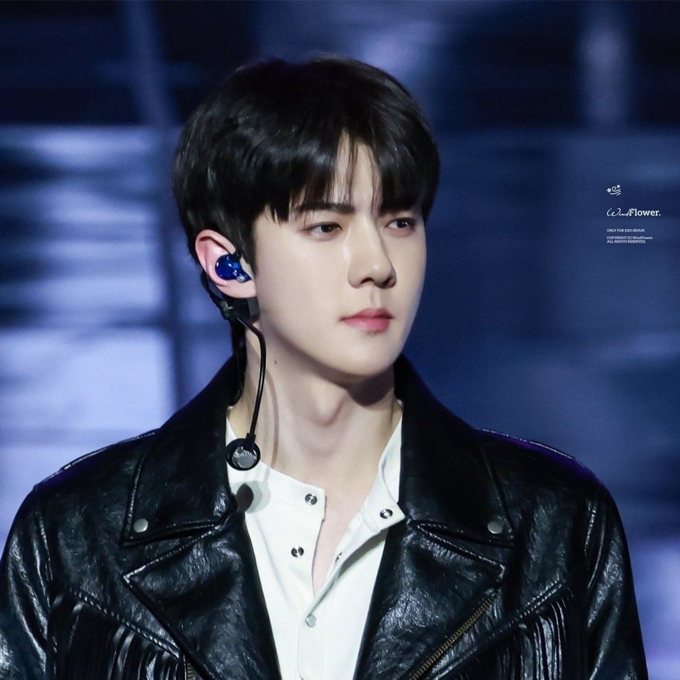 세훈 (EXO) 팬이 찍은 순간