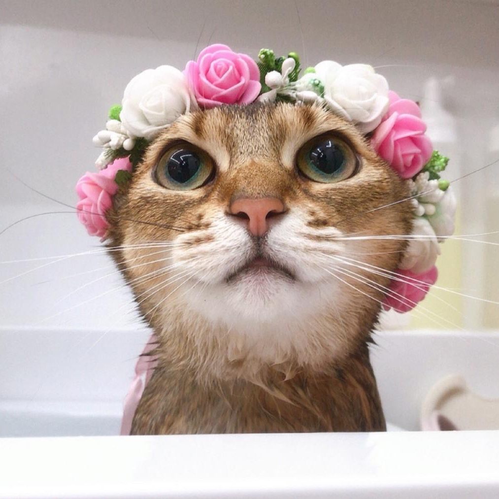 강다니엘의 최신 사진