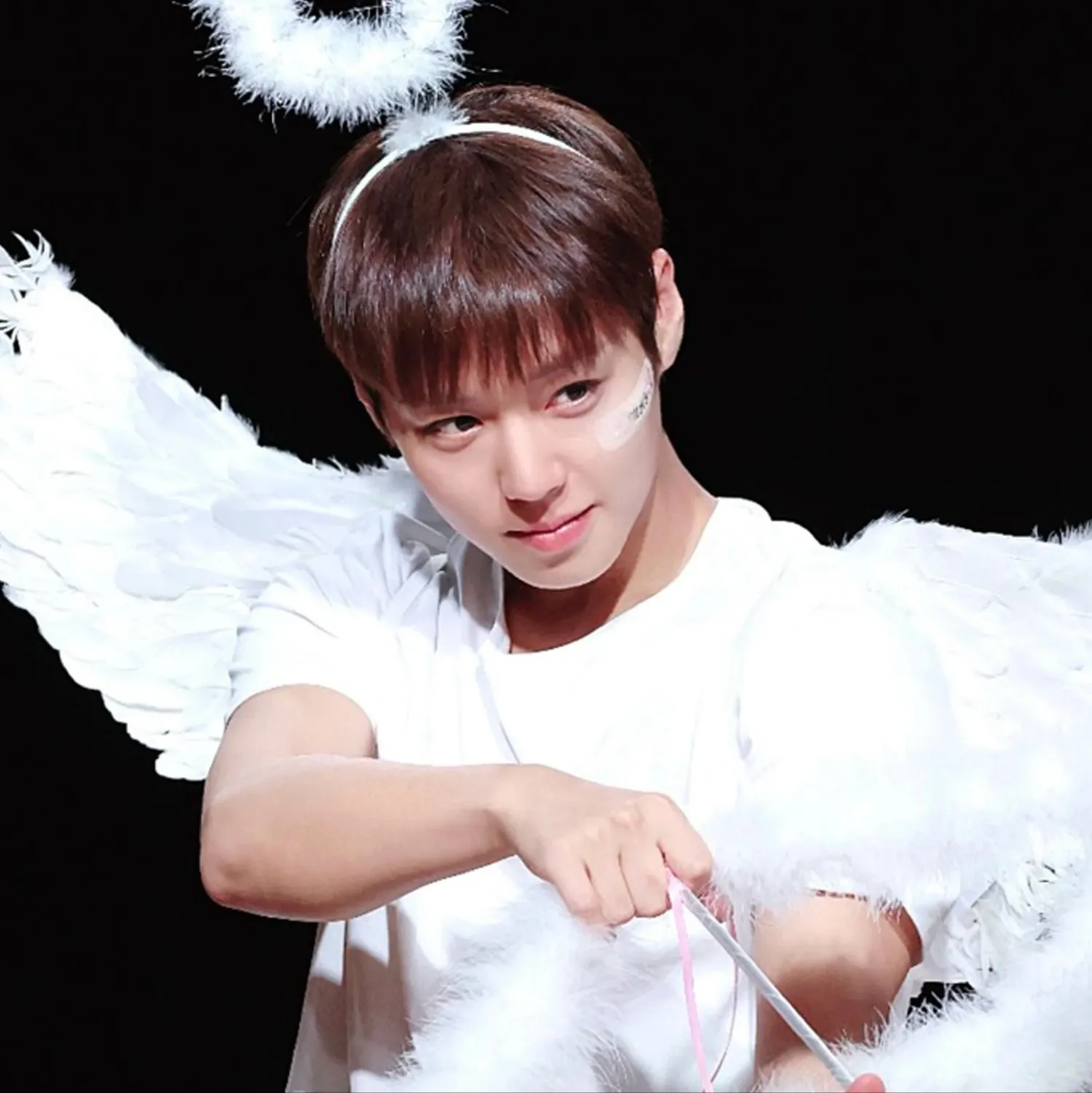 박지훈의 비하인드 컷