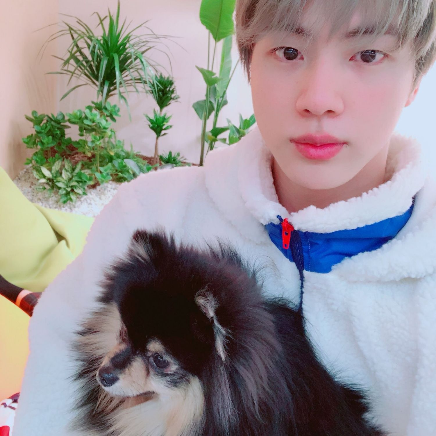 Foto terbaru Jin (BTS)