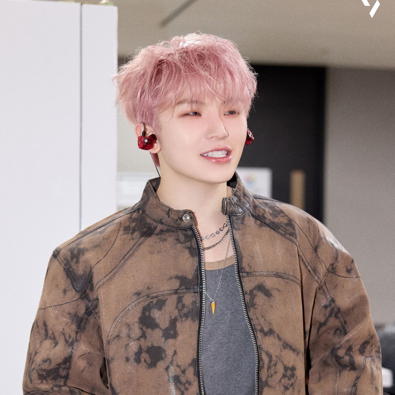 세븐틴 팬이 찍은 순간