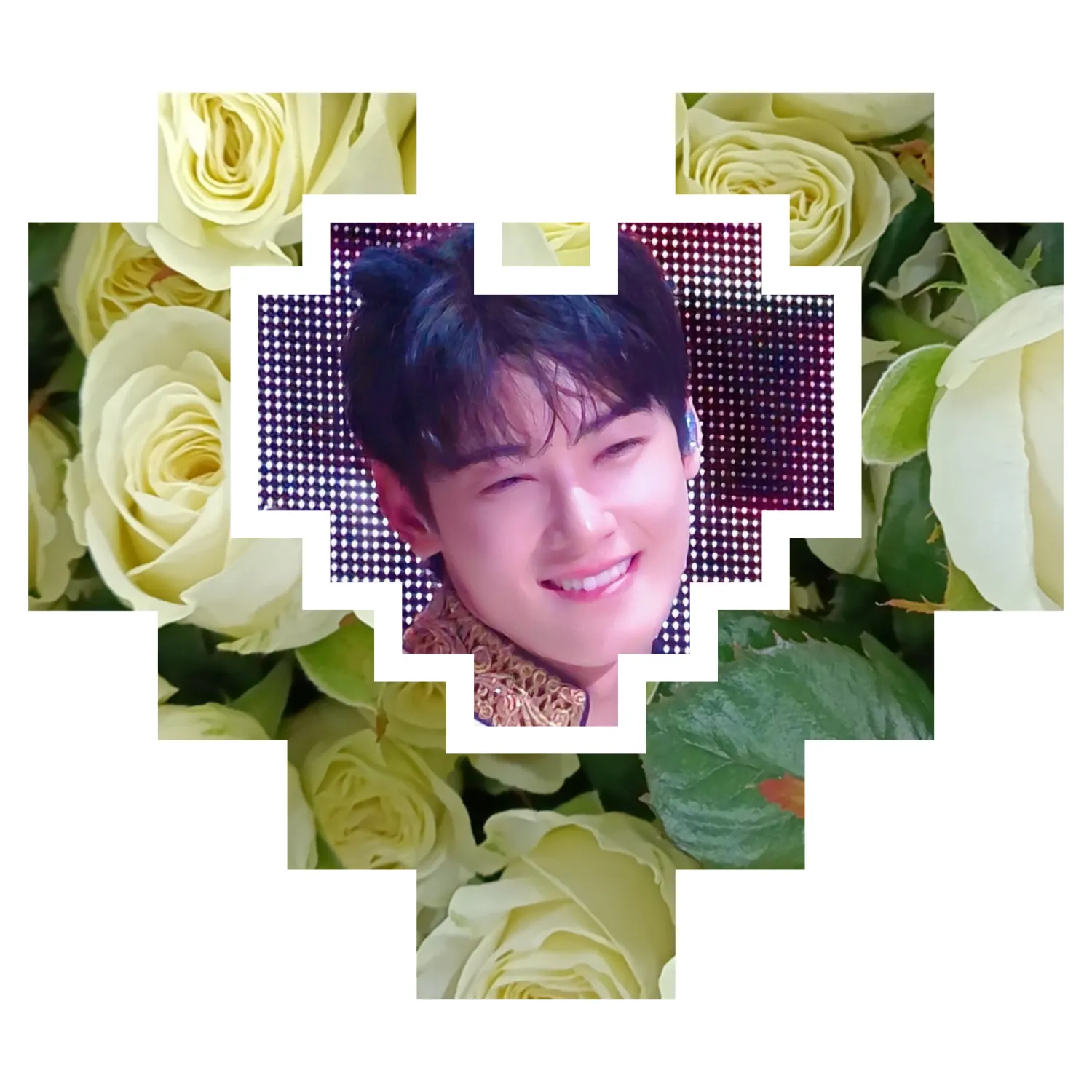 A moment captured by Eunwoo (ASTRO)'s fan