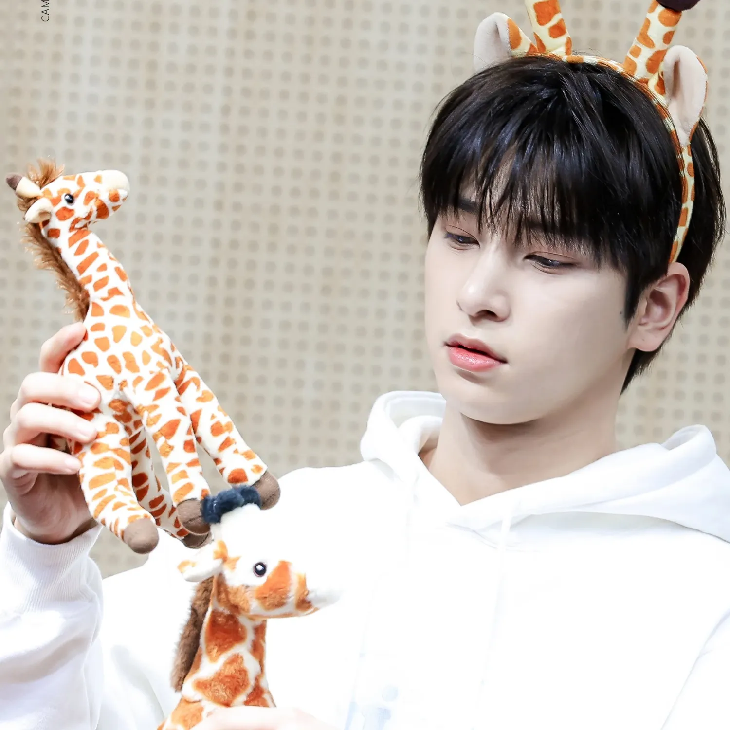 Latest photo of Hangyul (POLARIX)