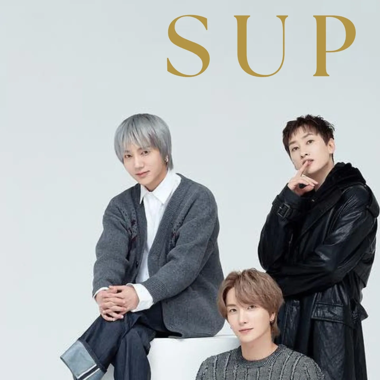슈퍼주니어 팬이 찍은 순간