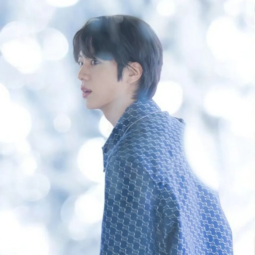 A moment captured by Jin (BTS)'s fan