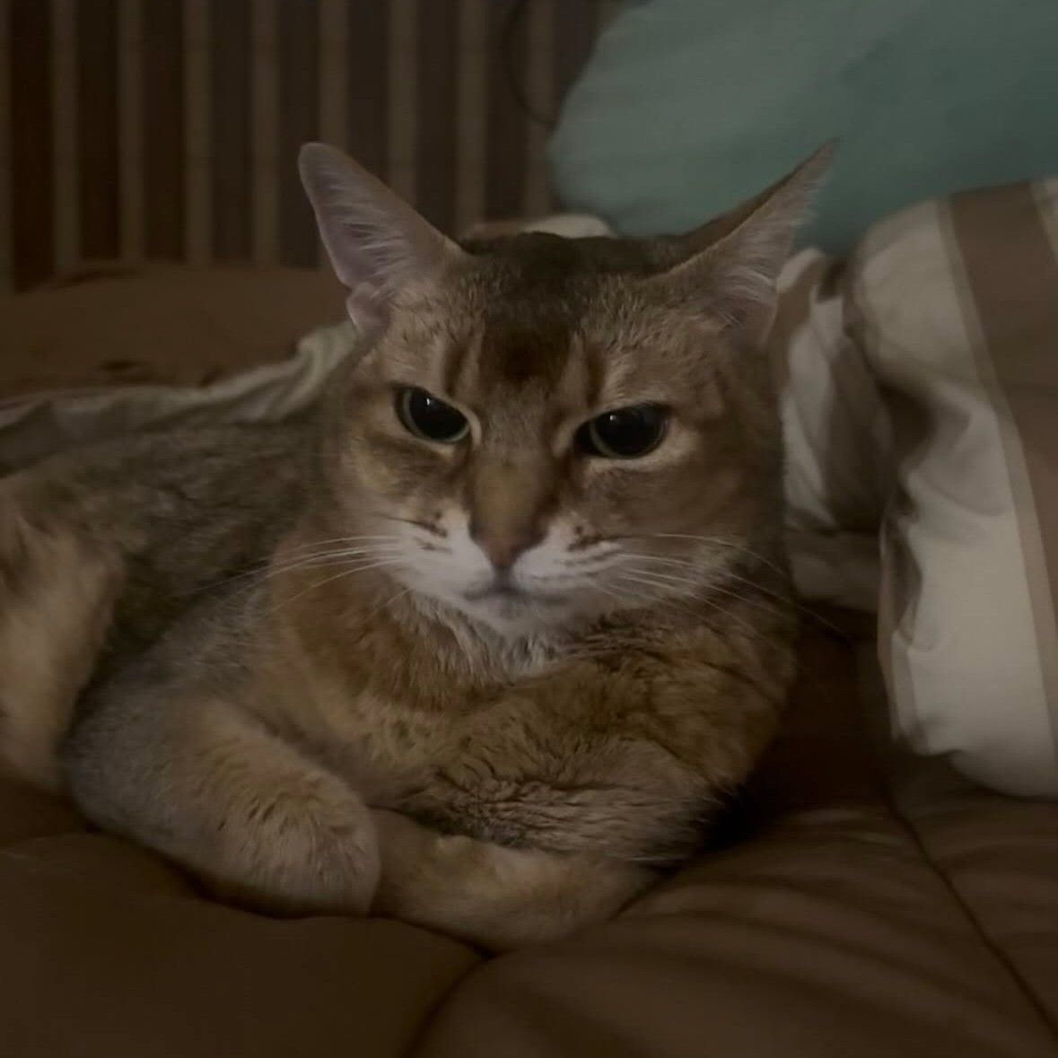 강다니엘의 비하인드 컷