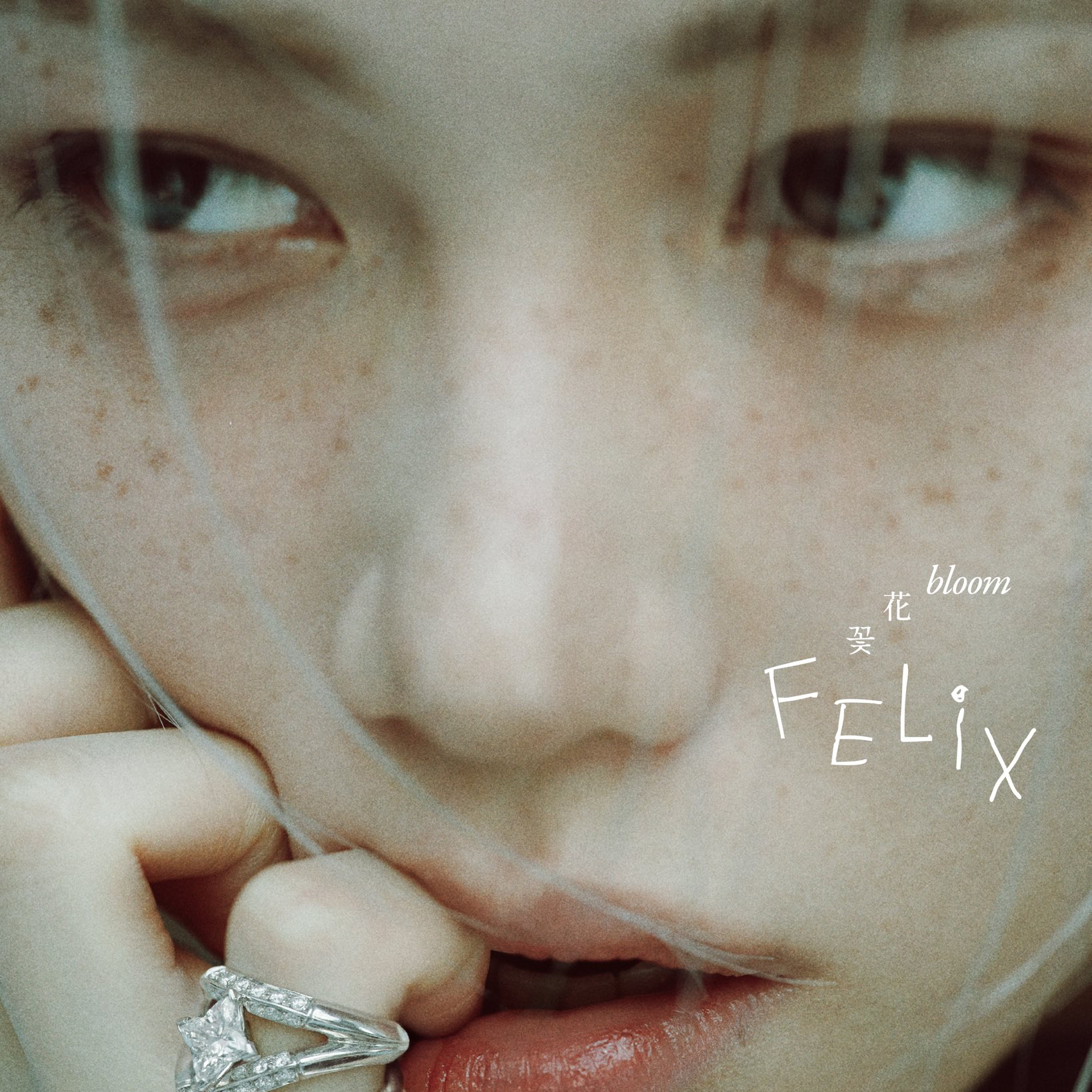 Felix (Stray Kids)的最新照片