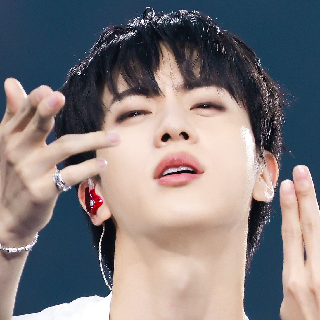진 (방탄소년단) 팬이 찍은 순간