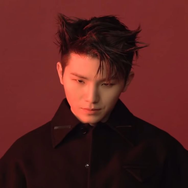 A moment captured by Woozi (SEVENTEEN)'s fan