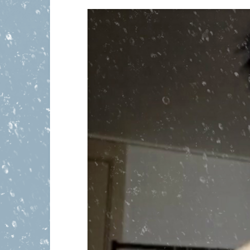 Today’s hot picks from the 김규빈 (제로베이스원) community