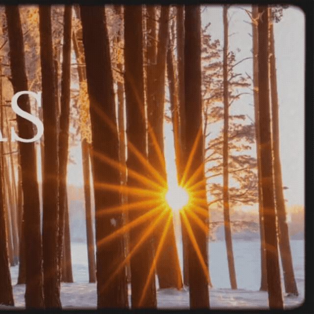 A moment captured by Nicholas (&TEAM)'s fan